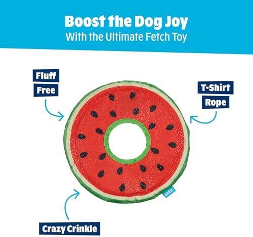 BarkBox Slobbermelon Fetch Flying Disc Dog Toy - for Dogs