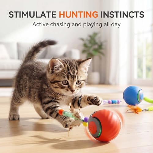 Active Rolling Ball with Tail for Cats,Speedy Tail Cat Toys for Indoor Cats