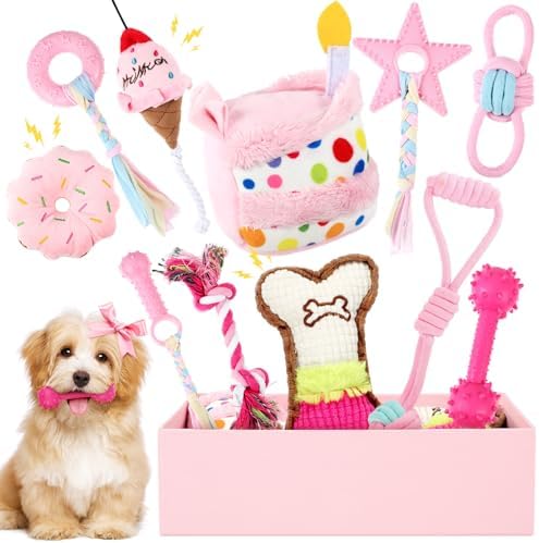 RoundFunny 11 Pcs Dog Birthday Toy Gift for Dog Birthday Cake Puppy Girl Boy Squeak Toys Interactive Puppy Gift with Box for Small Medium Size(Classic,Pink)