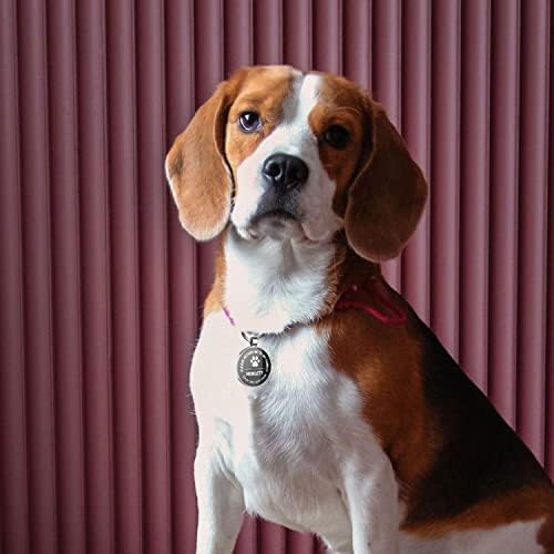 QR Code Dog Tag -On Pet ID Name Tag for Dogs, Cats & Horses – Custom Personalized Noiseless Tag with Jingle-Free Fit & Online Profile Display