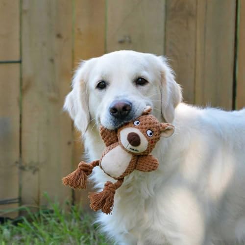 Plush Squeaky Knot Dog Toys, Interactive Chew Toys (Brown Bear)