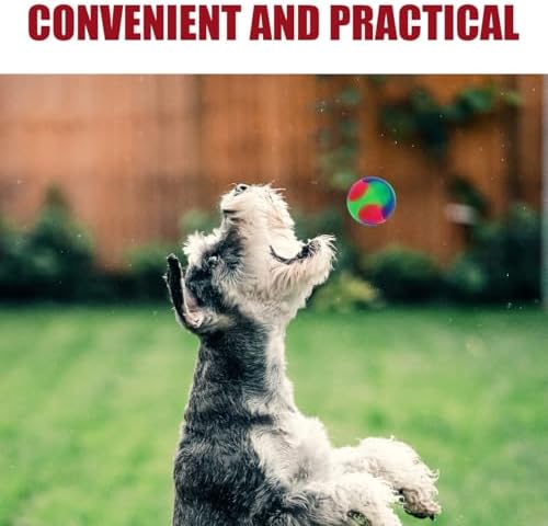 Totority Lighted Dog Ball Toy Glow in the Dark Interactive Pet Toy for Small Dogs and Puppies Elastic Jump Ball for Training Oral Exercise and Active Play