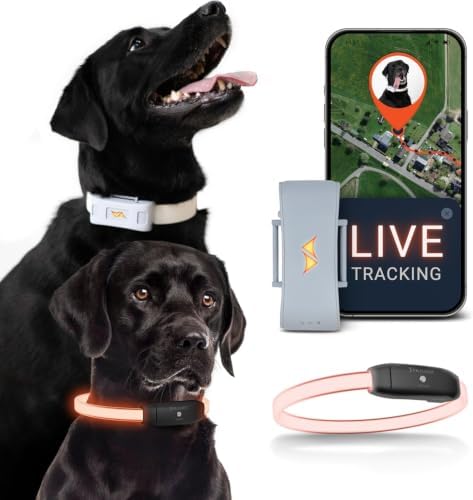 4G Dog GPS Tracker with Real-Time Location, Runaway Alerts, Activity Monitoring App, Waterproof Design & Rechargeable LED Dog Collar with 7 Color Modes, 27-Month Subscription Included – Grey Bundle