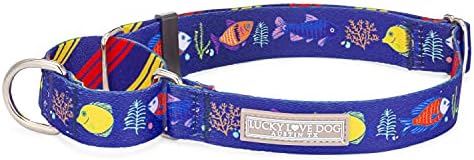Lucky Love Dog Martingale Collar for Medium Dogs No Slip – Mackey, Medium