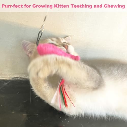 Catnip Toys, 5PCS Soft Plush Pink Fish Cat Toy Chew Kitten Toys