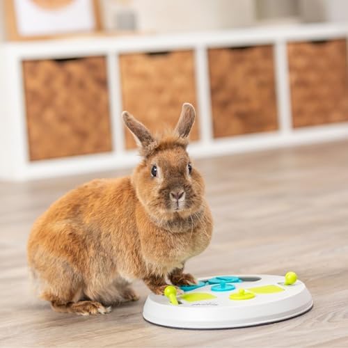 Trixie Rabbit Flip Board – Interactive Bunny Toy for Indoor Rabbits with 3 Opening Techniques – Treat Dispenser for Rabbits, Ferrets, Chinchillas & More – Multicolor, 9.5 x 9.5 x 2.75 in
