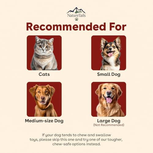 Interactive Cat Toy Ball, Automatic Intercative Cat Toys for Indoor Cats, The 3rd Generation Agile Moving Cat Ball with Elastic Mesh Tail, Toys for Indoor Adult Cats, Motion Activated (Red)