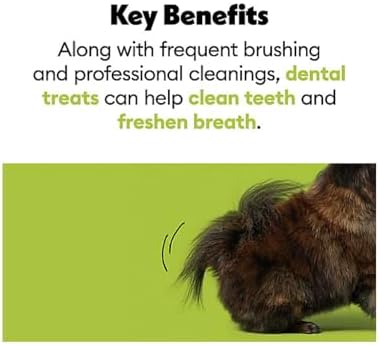 Wiggles & Wags Dental Chews for Small Dogs, Pumpkin Flavor, 12 Ounces with Bone Shaped Dispenser & Roll