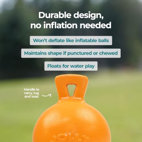Jolly Pets Tug-n-Toss - Heavy Duty Chew Ball w/ Handle (Orange, 6")