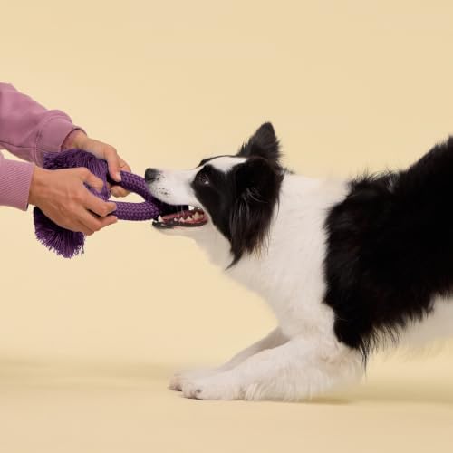 Playology Tug Rope Dog Toys for Large Breed Dogs - Jumbo, Bacon Scent