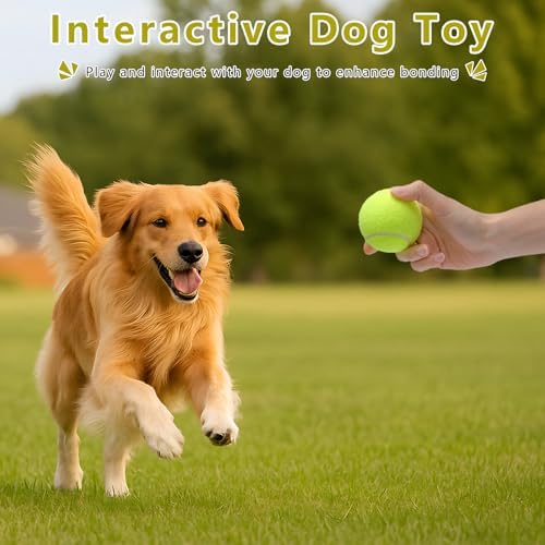 Magicorange Small Tennis Balls, 12 Pack 2 inch Tennis Balls for Dogs