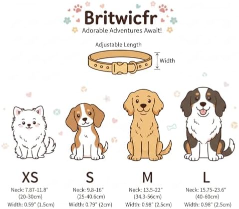 Cherry Dog Collar, Blue Dog Collar for Spring Summer with Quick Release Buckle, Fits Puppy, Small, Female, Male Dogs, Collar with Premium Package, S