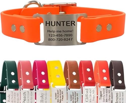 dogIDs Personalized Dog Collar – ScruffTag Custom Waterproof Biothane Dog Collar with Laser-Engraved Name, Durable & Odor-Resistant – USA Made | Blaze Orange, 3/4 in x 14 in (Fits Neck Sizes 12-16 in)