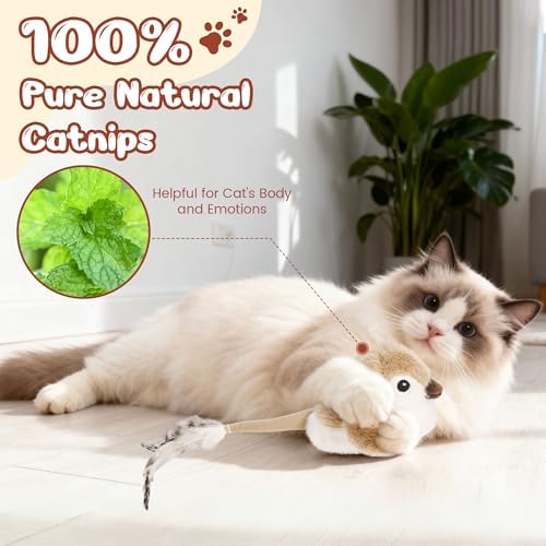Pawingcat Moving Bird Interactive Cat Toy with Catnip Toys