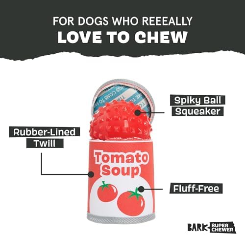 BarkBox Tomutto Soup Dog Toy - Large