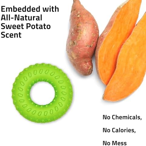 Playology Dual Layer Ring Toy for Aggressive Chewers, Sweet Potato Scent