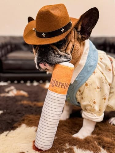 Nocciola Funny Big Dog Toys for Large Meidum Dogs, Squeaky Entertainment Stuffed Toys for Boredom, Anxiety Relief, Mentally Stimulating, Plush Dog Toys to Keep Busy and Occupied