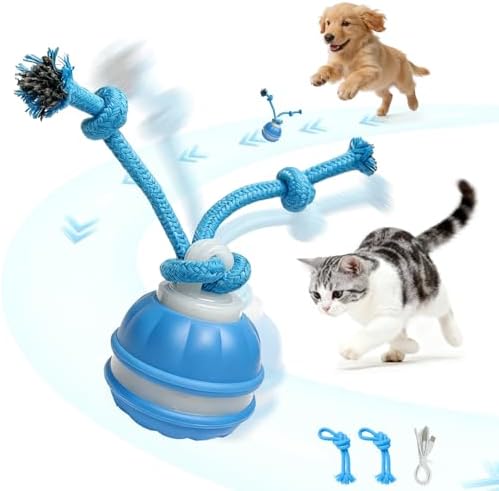 Interactive Dog & Cat Toy, Auto Chirping Ball, Rechargeable Self Play