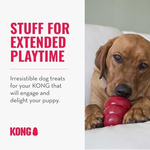 KONG Dog Treats Combo Pack - Includes Bacon/Cheese Snacks & Easy Treat Bacon/Cheese Spray - Toy Filler - for Training, Playtime & More - for Large Dogs