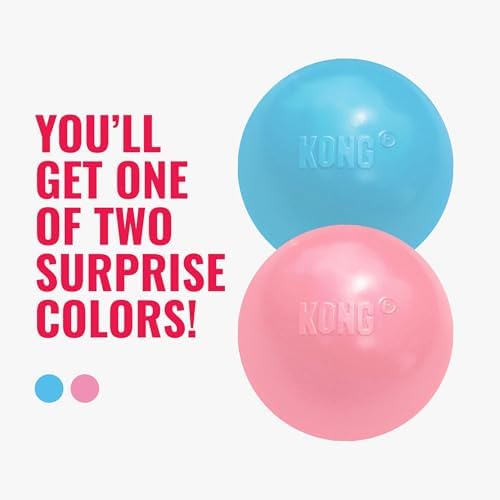KONG Puppy Ball with Hole, Teething Toy, Medium/Large Puppies, Random Color