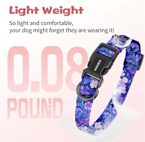 Puppy Dog Collar & Hands-Free Dog Leash Adjustable Length 5-8 Ft Adjustable Nylon Collar with Quick-Release Buckle