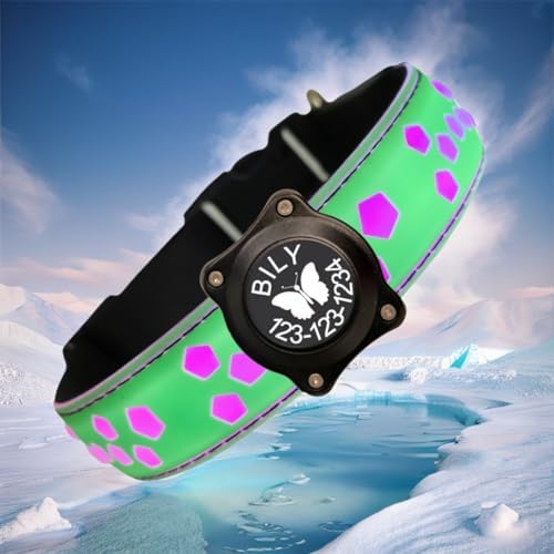 Personalized Light up Black Dog Collar with airtag Holder for Night Walk (Green Collar 15 Modes Lighting, XL(19.7-23.6"))