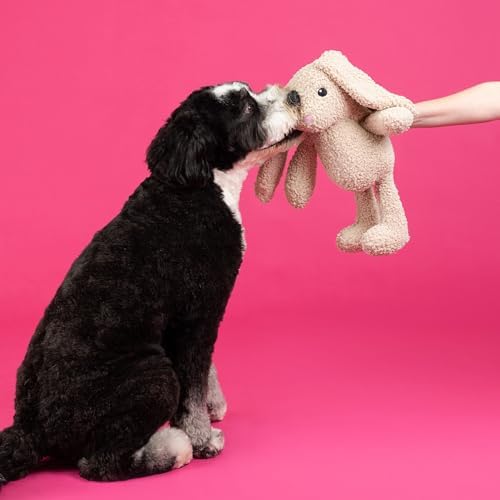 Fringe Studio Large Plush Dog Toy, Hoppy to See You, 19" Tall x 13" Wide, Pet Shop Collection (728034)