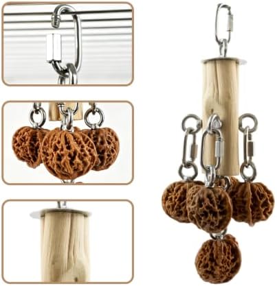 AOTU Bird Toys for Cockatiels Parrot Toys for Large Birds 304 Stainless Steel and Natural Hardwood Chew Toy for Macaw, Cockatoo African Greys Medium to Large Parrots Safe and Durable (Hard Walnuts)