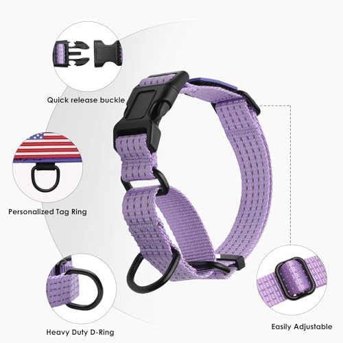 Martingale Dog Collar Reflective NO Pull with USA Flag, Lavender, M