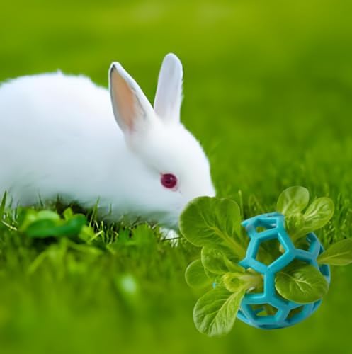 Rabbit Treat Ball, Bunny Enrichment Toy with Stainless Steel Hanger Set, Veggie Feeding Rabbit Ball Toy to Slow Feeder for Bunny, Guinea Pig, Hedgehog, Squirrel, Tortoise (Style2-Blue)