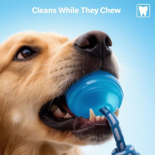 MECOOL Dog Rope Ball Chew Toy - Durable Tug of War Fetch Toy for Aggressive Chewers, Natural Rubber Ball with Braided Rope, Interactive Teething Toy for Medium Large Dogs,Bacon Flavored