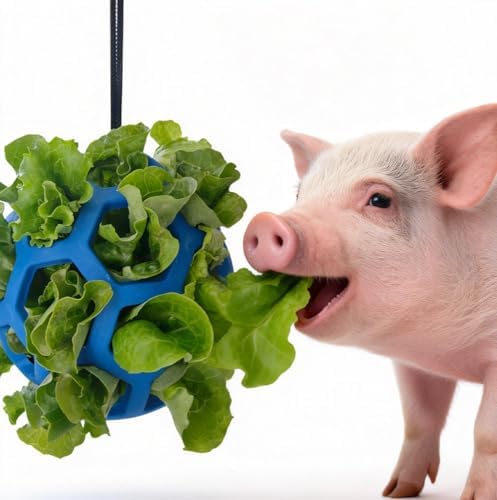 2PCS Pig Enrichment Toys, Mini Pig Supplies, Hanging Chew Ball with Rope + Replaceable Feeder Foraging Ball, Interactive Pig Enrichment Toy Set for Pigs, Treat Dispensing & Chew Activity Toy