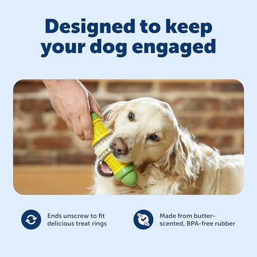 PetSafe Busy Buddy Cravin Corncob Treat Holding Dog Toy, Medium/Large
