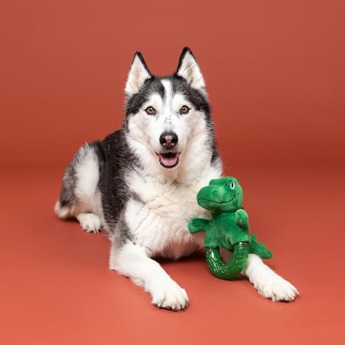 Fringe Studio Rubber Dog Toy, Unleash THE Dino, Pet Shop Collection (519080)