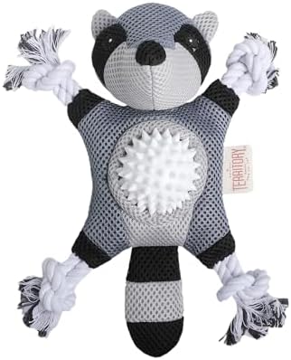 Territory 2 in 1 No Stuffing Removable Fetch Ball Tug Dog Toy for Small Medium Large Dogs, Raccoon