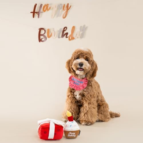 CHEWFFON Gift Box Snuffle Dog Toy, Interactive Treat Hiding Puzzle Toy