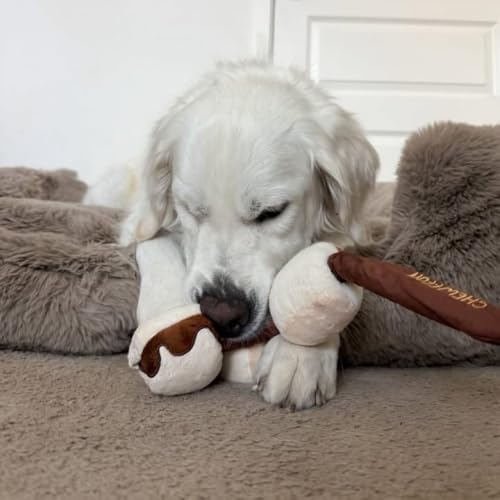 CHEWFFON Interactive Dog Toy, Detachable Crinkle & Squeaky Enrichment