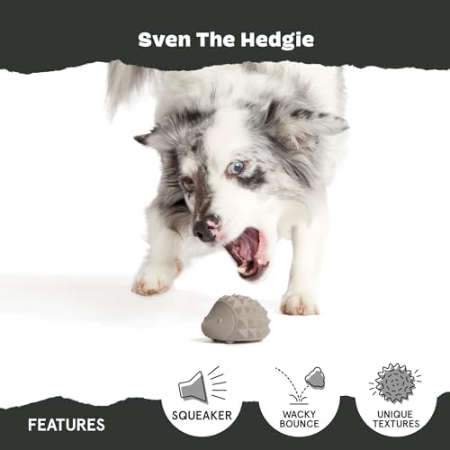 BarkBox Sven The Hedgie Super Chewer Dog Toy - Large