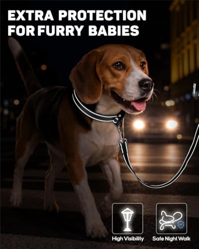 Padded Dog Collar with Waterproof Holder Compatible with Airtag