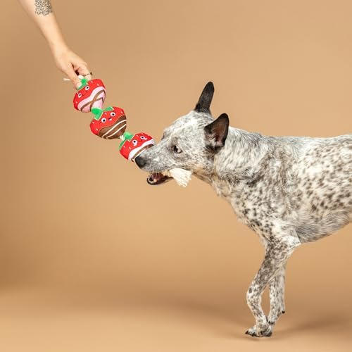 Fringe Studio Plush Dog Toy with Rope, Covered with Love, Petshop Collection (314495)