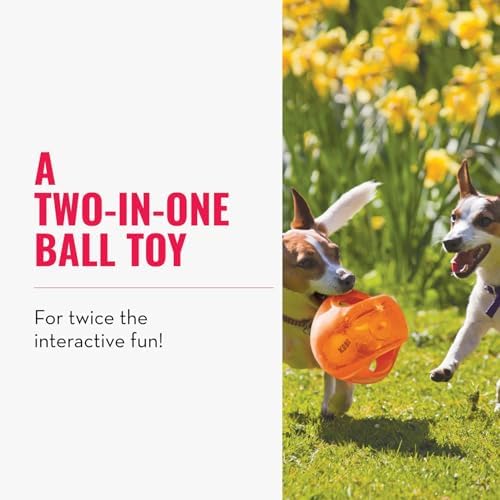 Kong Jumbler Ball - Interactive Toy for Dog & Puppy Playtime - Fetch Toy with Tennis Ball - Dog Supplies for Engaging Play - for Large/XL Dogs - Randomly Provided Color