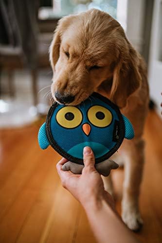 Hyper Pet Firehose Flyers Owl Durable Squeaky Dog Toy Grey 7.5 x 1.2 x 8.2 inches (Pack of 12)
