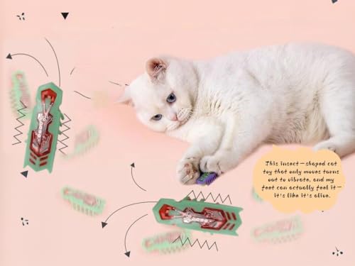 Cat Interactive Toy Educational Cat Teaser Toy 2PCS Electronic Beetle Interactive Set for Indoor Cats Kitten Chase Exercise Battery Operated