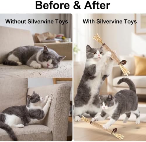 Shudyear 5 PCS Silvervine Sticks for Cats - Natural Cat Chew Toys for Teeth Cleaning, Kitten Teething & Aggressive Chewers