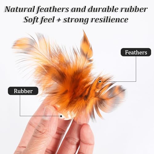 5 Pcs Bouncy Balls for Cats Chasing- Cat Feather Toy with Natural Feather