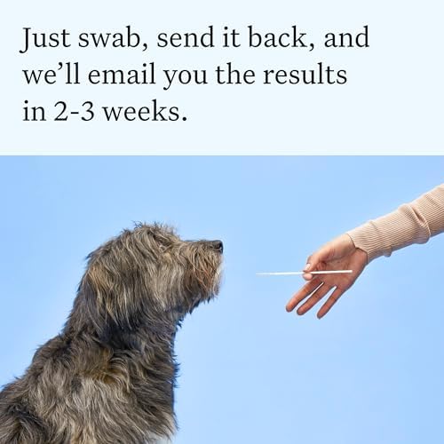 Wisdom Panel Essential Dog DNA Testing Kit - Most Accurate Test for 430+ Dog Breeds, 30 Genetic Health Conditions, 50+ Traits, Relatives, Ancestry, 1 Pack