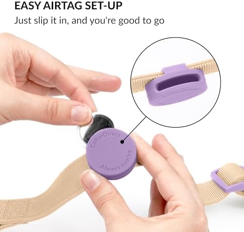 CollarDirect Airtag Nylon Dog Collar Silicon Holder Designed for Apple Airtag with QR Tags Personalized Dogs Puppies 5 Colors Black Pink Violet Green Orange (Violet, S)
