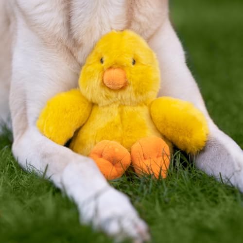 Fluff & Tuff Howie Duck Plush Dog Toy, 8” Durable Stuffed Dog Toy with Squeaker, Double-Stitched & Reinforced for Interactive Play
