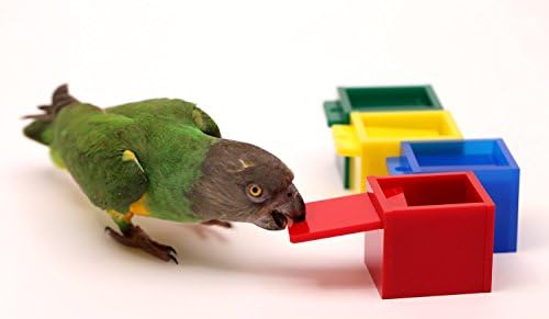 Parrot Wizard Birdie Colored Boxes Trick