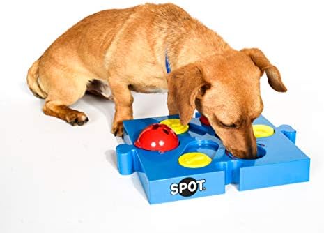 SPOT by Ethical Products Interactive Seek-A-Treat Flip 'N' Slide Dog Toy Puzzle | Dog Treat Reward Toy Connector Puzzle Improves Your Dog's IQ | Specially Designed for Training Treats